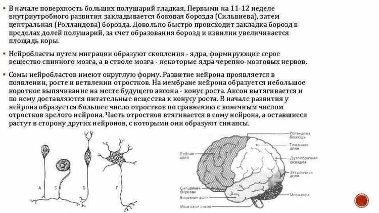 Психомоторное