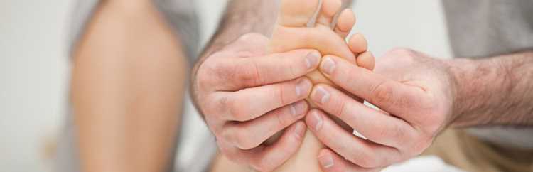 Анатомия стопы: ключевые структуры и их функции