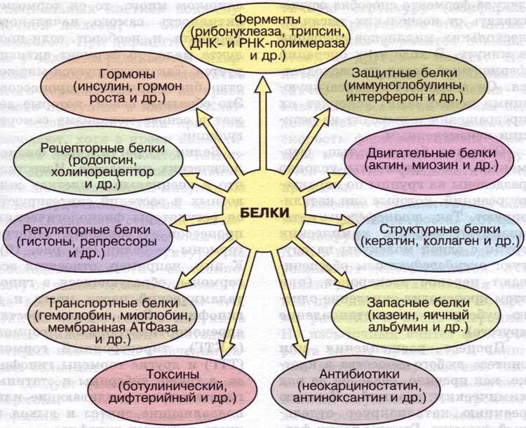 Методы анализа белков
