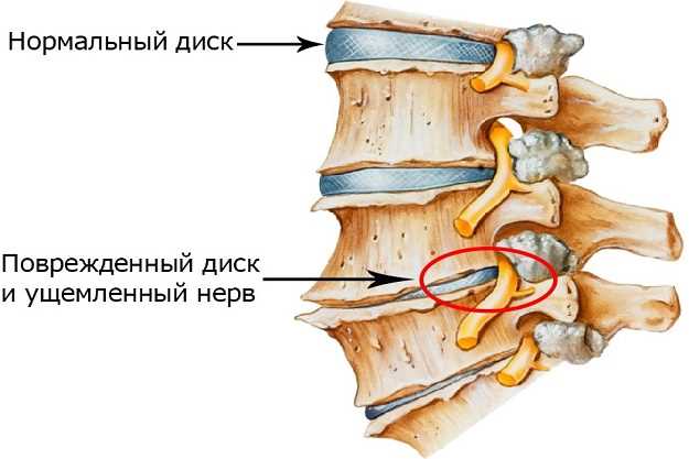 Факторы,
