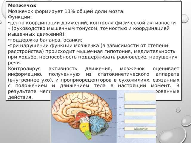 Лечение