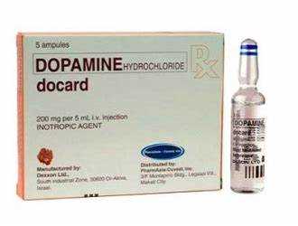 Дозировка для оптимального эффекта на почки