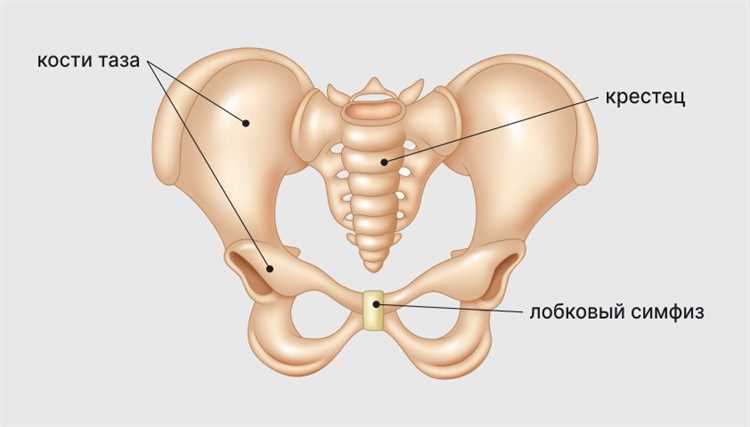 Организация