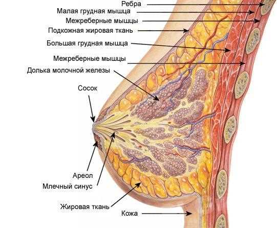 Современные