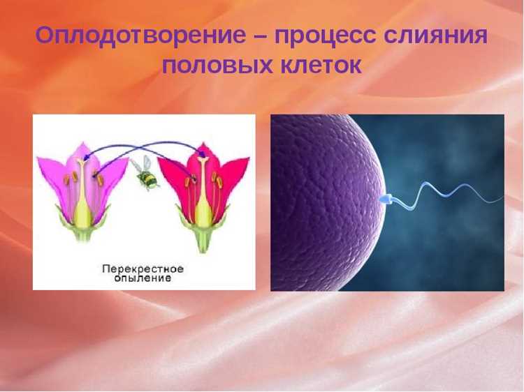 Этические аспекты исследований клеток в биомедицине