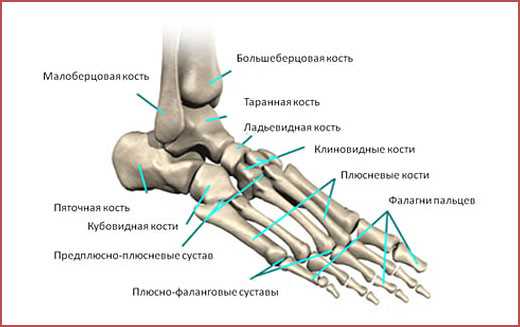 Влияние на движения