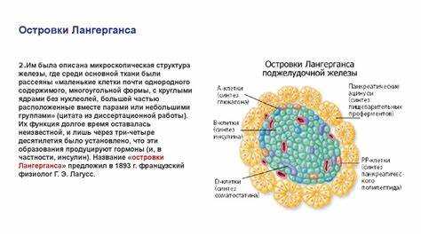 Использование