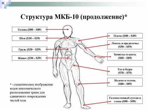 Классификация химических ожогов согласно МКБ 10
