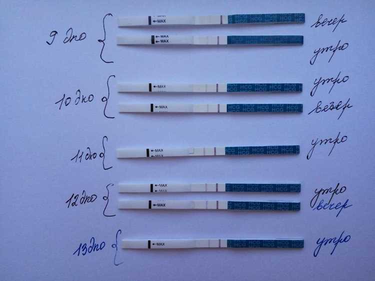 Как работает тест на беременность до задержки?