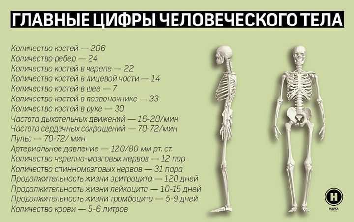 Травмы костей: распространенные виды и способы лечения