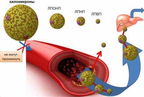 Медикаментозное лечение для снижения уровня ЛПОНП