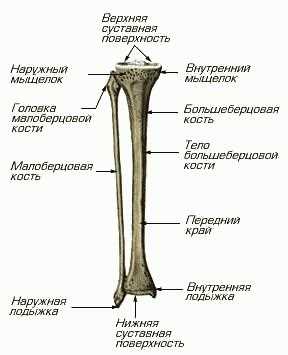 Влияние
