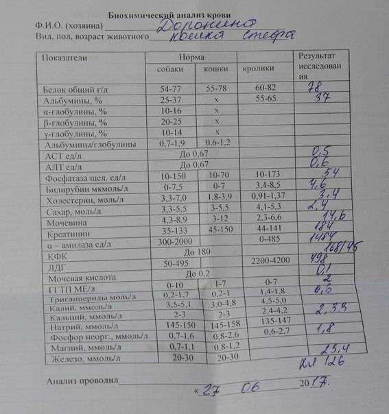 Как снизить уровень мочевины в организме: советы