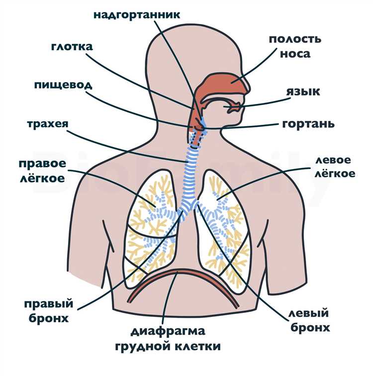 Значимость
