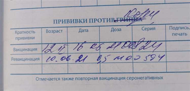 Оформление