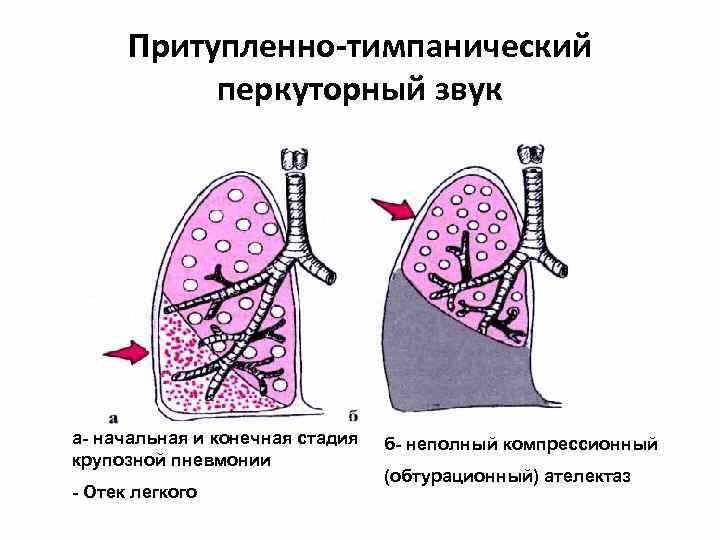 Современные подходы к обучению в медицинской практике