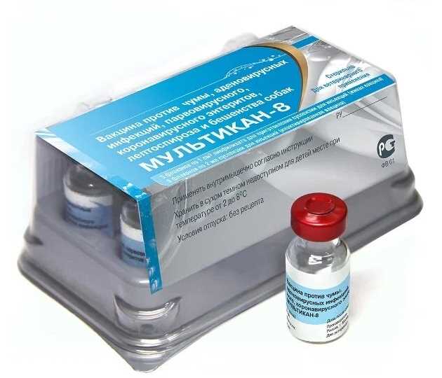 Рекомендации