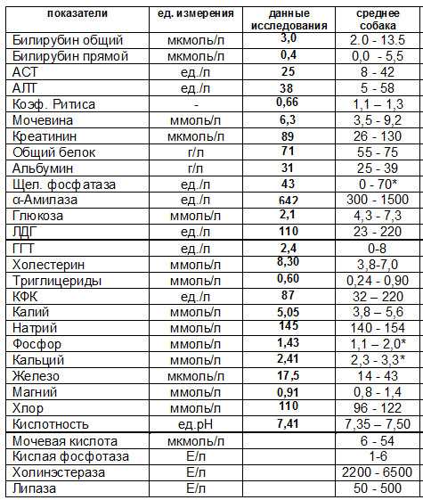Нормальные значения гемоглобина у женщин