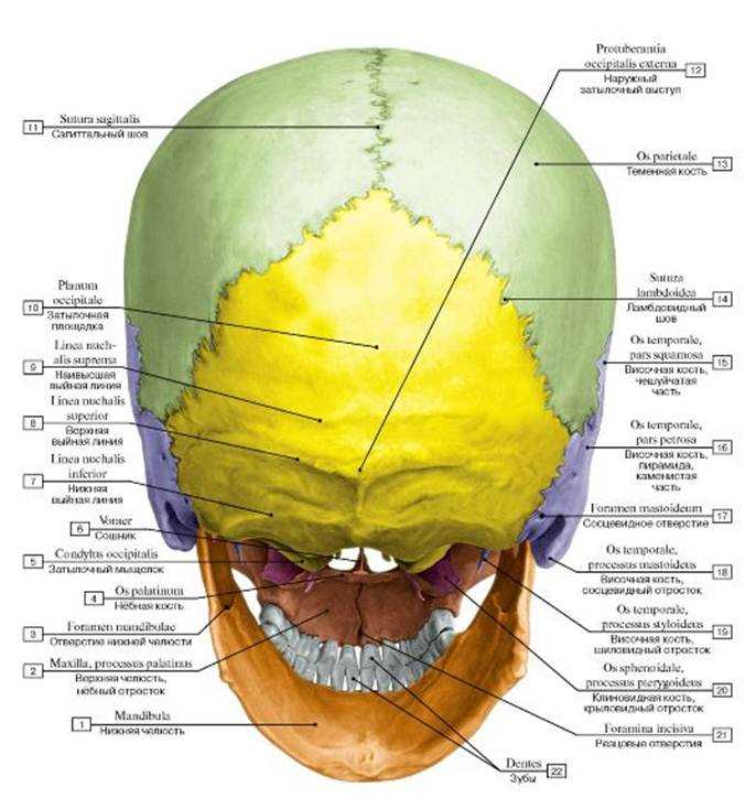 Применение