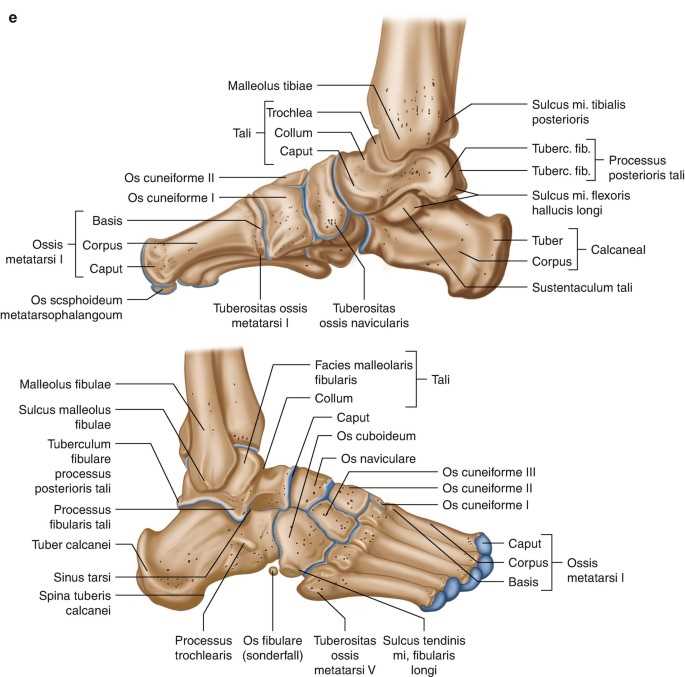 Характерные